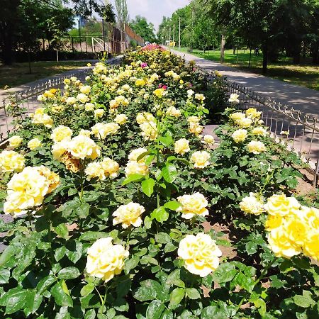 1-Комн. Квартира В Центре Возле Козак Палаца! Zaporizhia Esterno foto